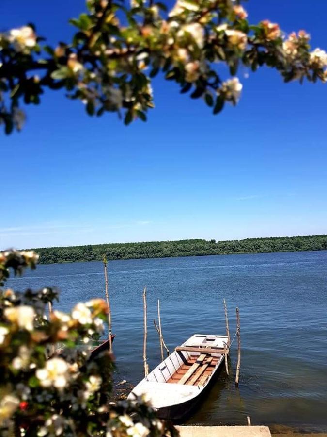 San Na Vodi Villa Смедерево Екстериор снимка